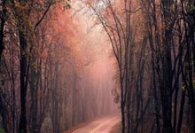 开云体育官网-巴尔干的荣耀！克罗地亚俱乐部如何在欧洲足坛书写逆袭神话？