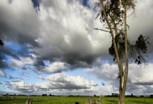 开云官网-蒙特雷外援训练状态火热，世俱杯淘汰赛关键战