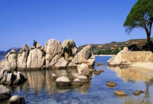 开云体育官方网站-斑马军团重登王座！尤文图斯用铁血防守书写意甲新霸权