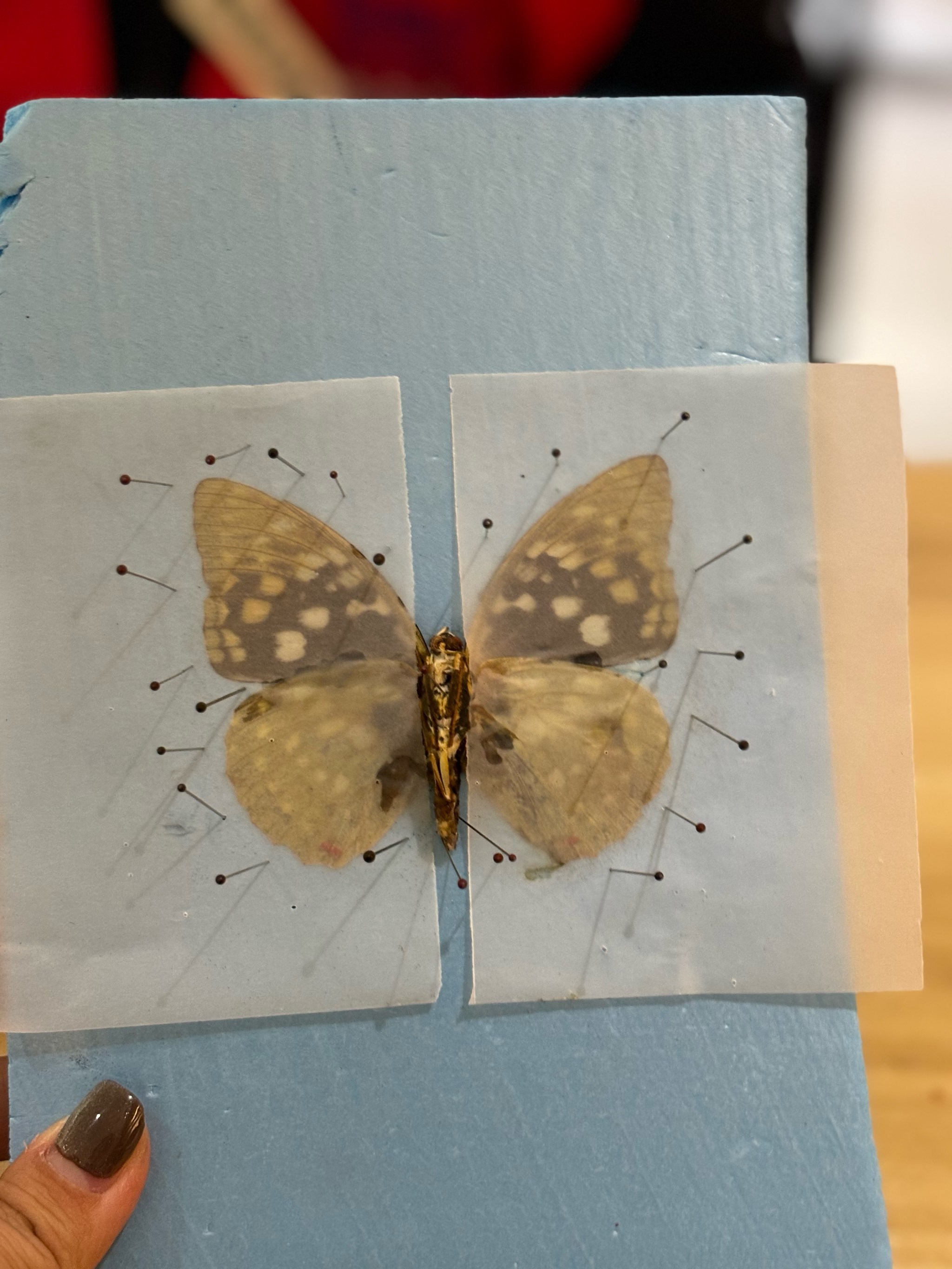 开云体育登录-包含DFM绝杀JDG，Knight单局斩获MVP宿敌对决小组赛，锁定晋级资格的词条